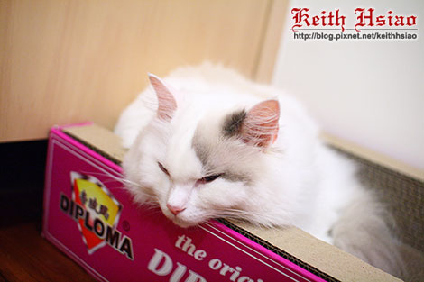 IMG_2528.jpg IMG_2528.jpg