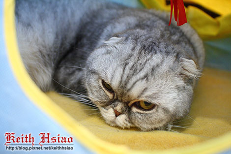 IMG_2539.jpg IMG_2539.jpg