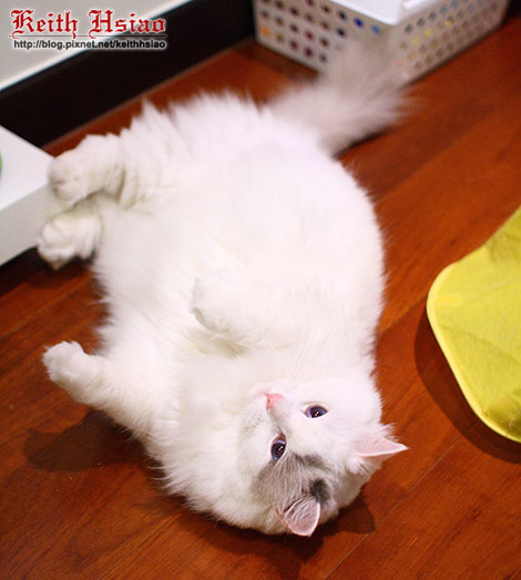 IMG_2544.jpg IMG_2544.jpg