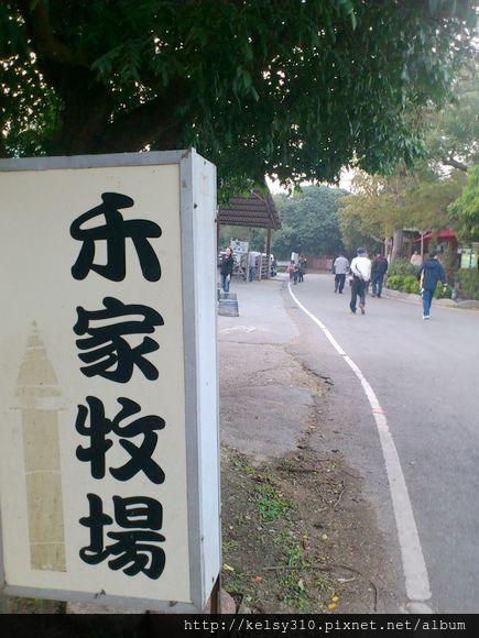 禾10 禾10