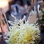 IMG_7756-37