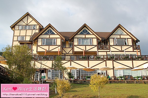 99.02.11綠光森林0001.jpg 99.02.11綠光森林0001.jpg
