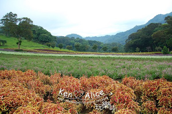 99.08.14大溪01.jpg 99.08.14大溪01.jpg