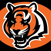 cincinnati-bengals-1024x768.jpg