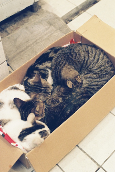 F1010028.JPG F1010028.JPG