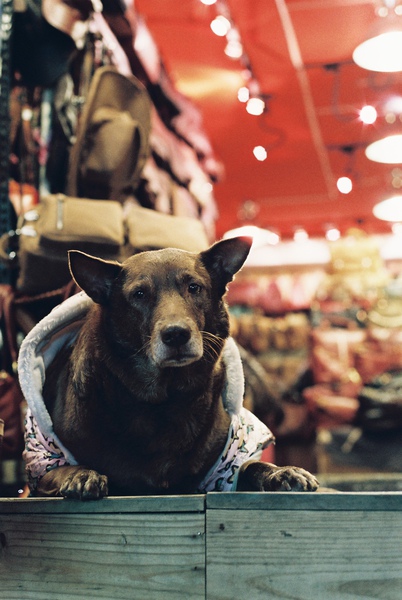 F1010014.JPG F1010014.JPG