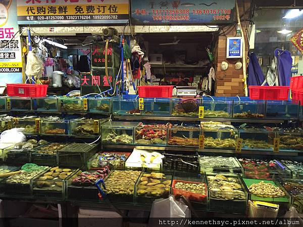 IMG_6024.JPG IMG_6024.JPG