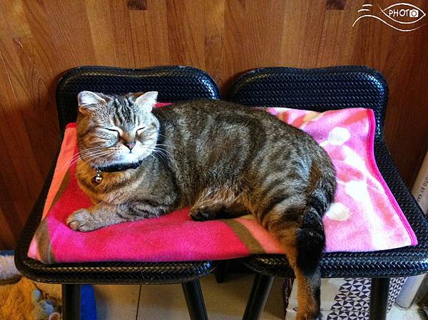 IMG_1137.jpg IMG_1137.jpg