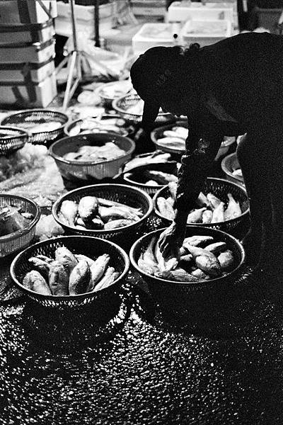 184198_1535575358904_6523637_n