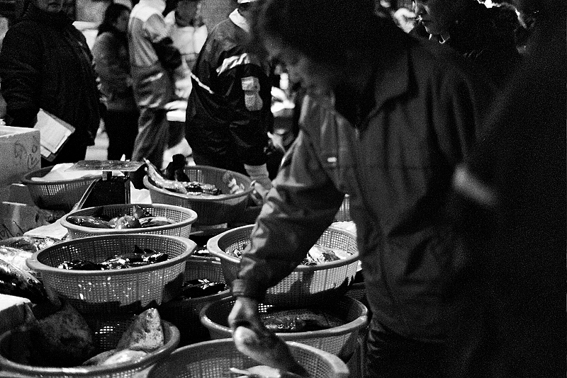 ---_0331.jpg ---_0331.jpg