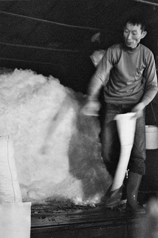 ---_0383.jpg ---_0383.jpg