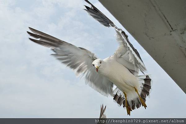 DSC_6296 DSC_6296