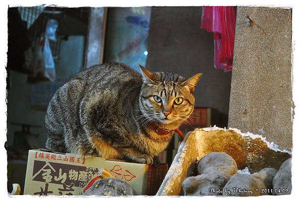 DSC_0621.JPG DSC_0621.JPG