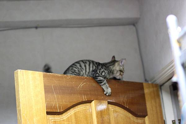 IMG_2776.JPG IMG_2776.JPG