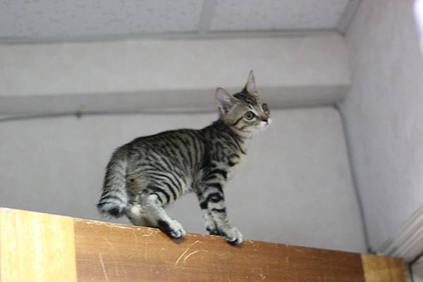 IMG_2772.JPG IMG_2772.JPG