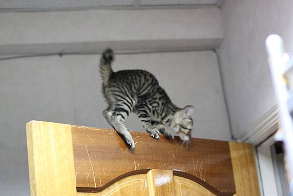 IMG_2775.JPG IMG_2775.JPG