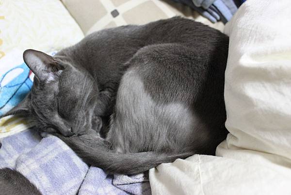20120111 017.JPG 20120111 017.JPG
