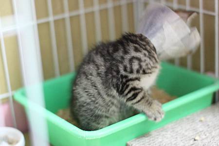 IMG_0645.JPG IMG_0645.JPG