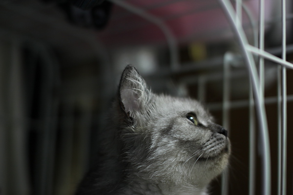 IMG_5145.JPG IMG_5145.JPG