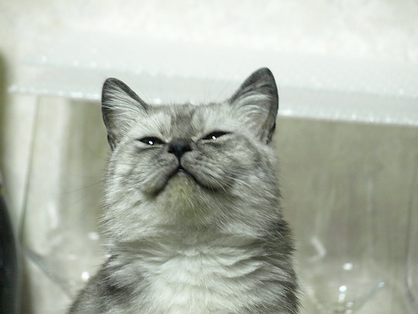 20101211_201529___01_調整大小.JPG 20101211_201529___01_調整大小.JPG