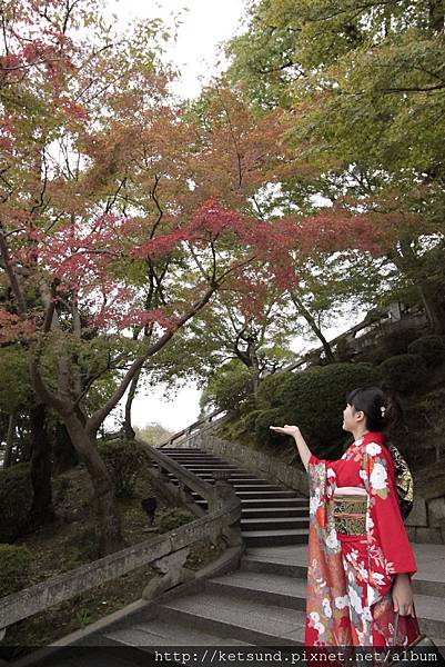 _MG_7593.JPG _MG_7593.JPG