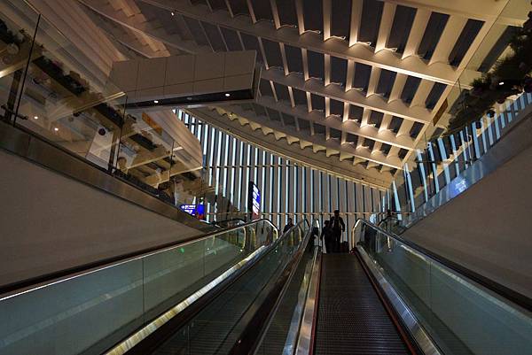 DSC00949.JPG DSC00949.JPG