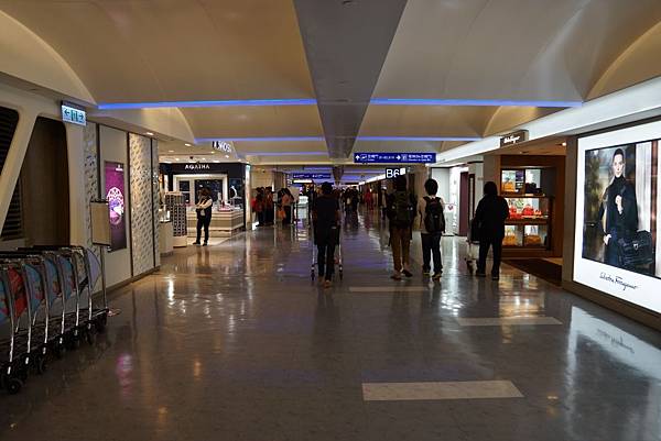 DSC01019.JPG DSC01019.JPG