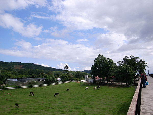 原生應用植物園 原生應用植物園