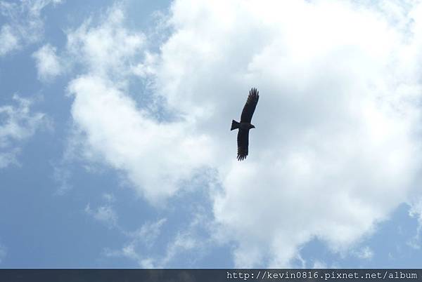 P1150406.JPG P1150406.JPG