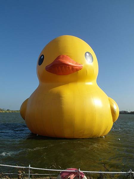 SAM_0008.JPG SAM_0008.JPG