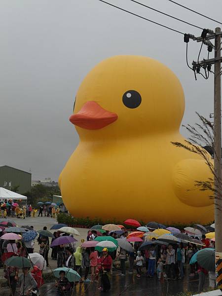 SAM_0037.JPG SAM_0037.JPG