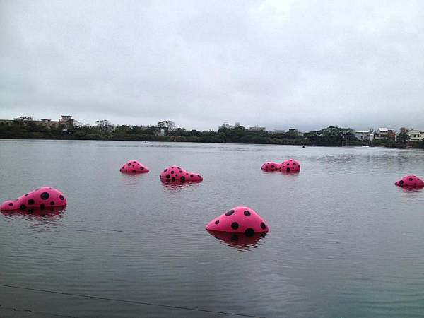 1392091_542213979197352_51458560_n.jpg 1392091_542213979197352_51458560_n.jpg