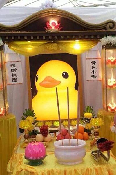 1394460_591570104242869_236137316_n 1394460_591570104242869_236137316_n