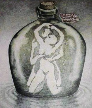 你看到幾隻海豚呢? 你看到幾隻海豚呢?