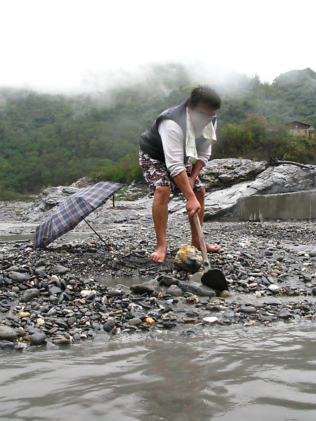 熟練專業的王大哥