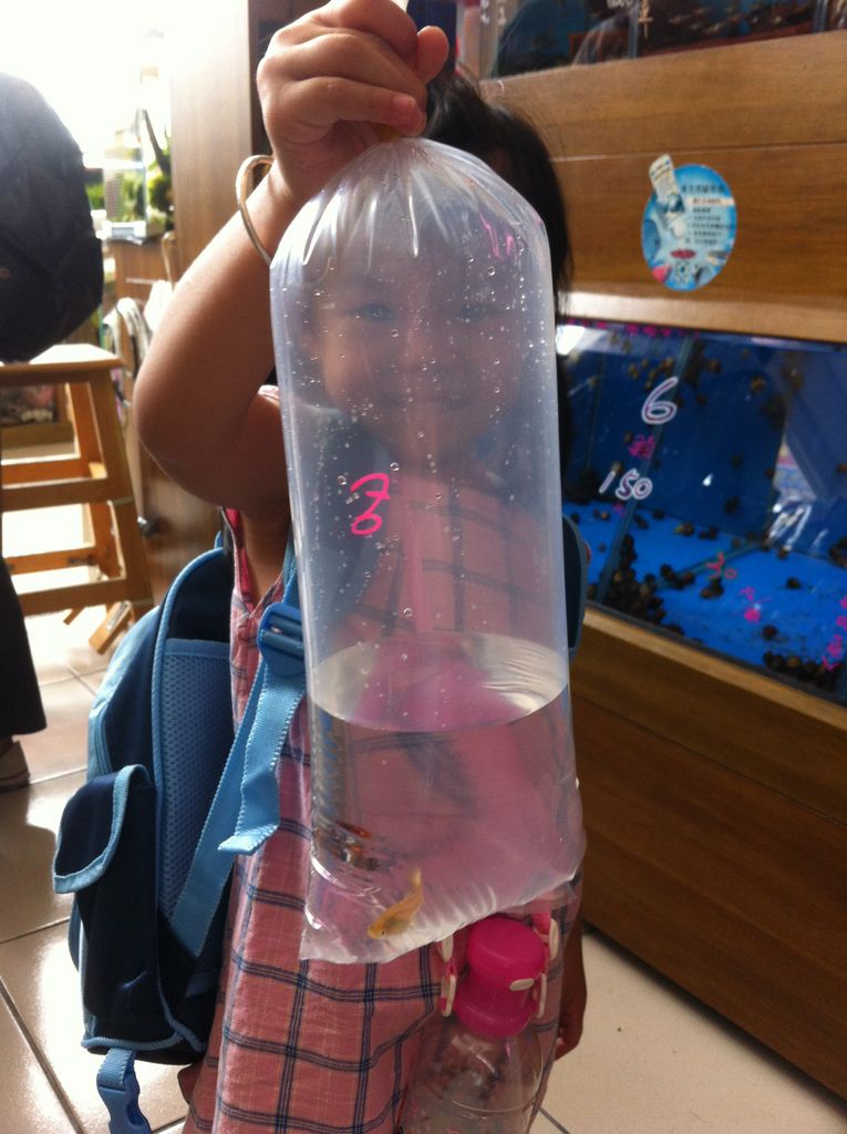 決定好小魚要帶回家嚕! 決定好小魚要帶回家嚕!