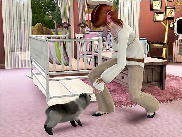 kitty-02 kitty-02