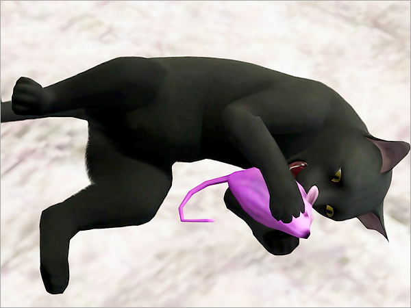 cat09 cat09