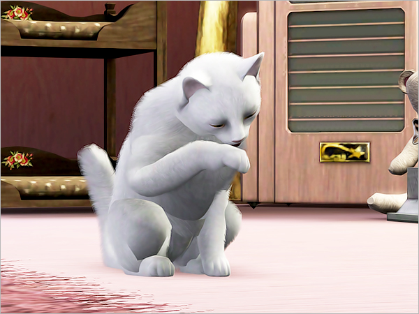 cat10 cat10