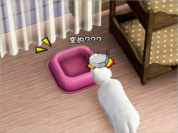 cat13 cat13