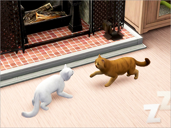 cat14 cat14