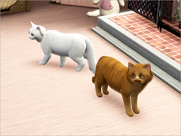cat15 cat15