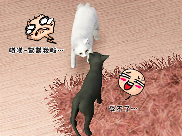 cat16 cat16