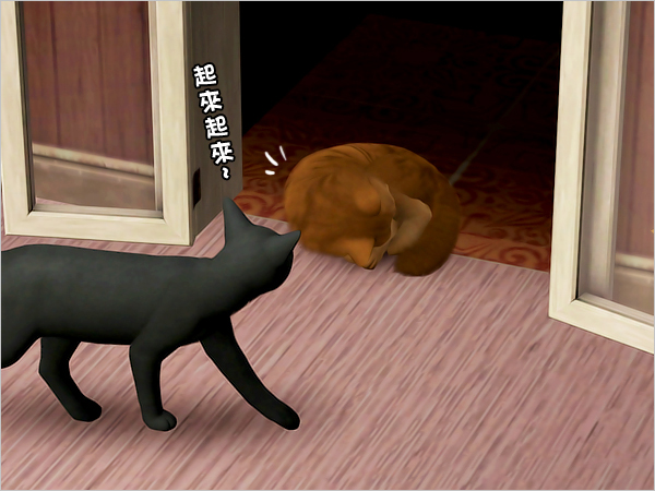cat17 cat17