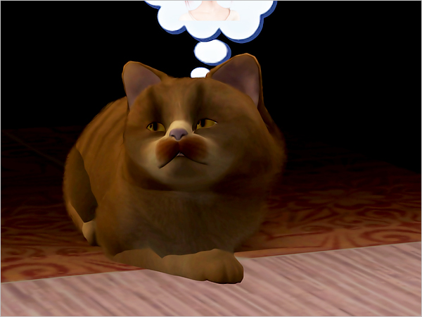 cat18 cat18