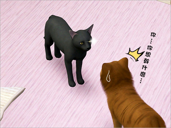 cat20 cat20