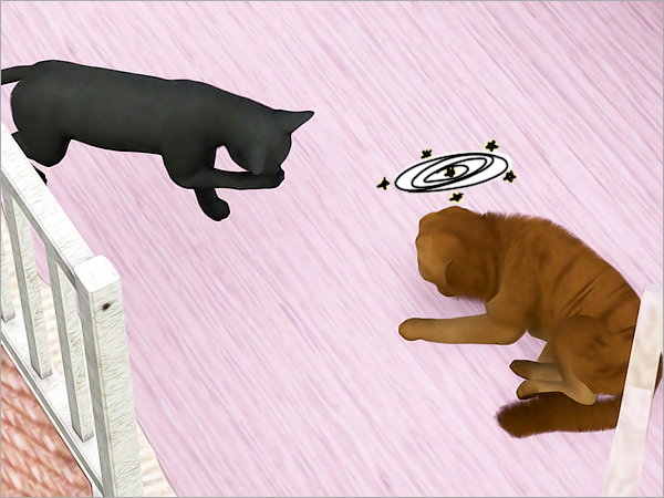 cat25 cat25
