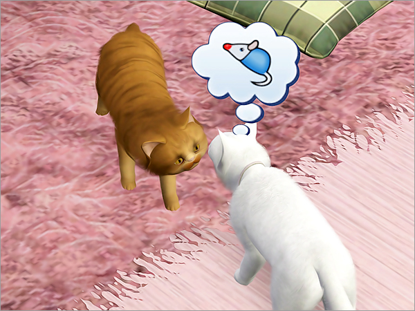 cat27 cat27