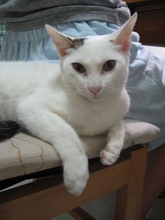 照片 073.jpg 照片 073.jpg