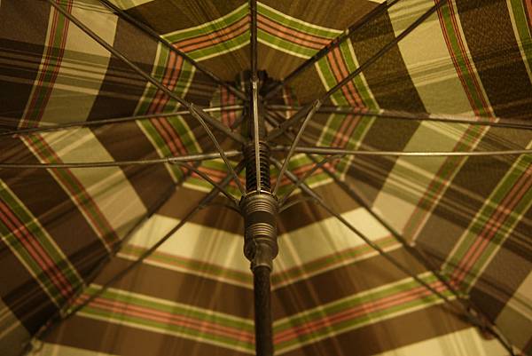 UMBRELLA UMBRELLA